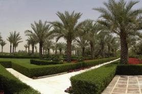 Dubajský hotel Desert Palm se zahradou