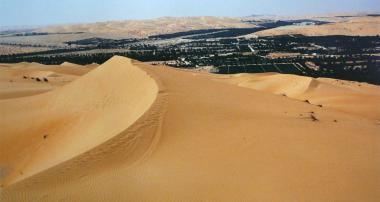 Oáza Liwa - písečné duny