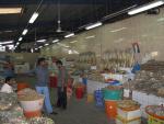 Dubaj - rybí trh