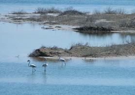 Jezero Al Wathba